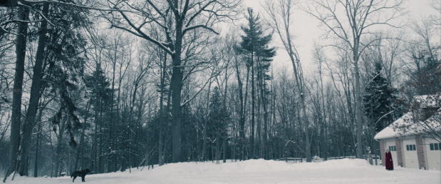 Screen Shot 2018-06-27 at 9.21.31 PM