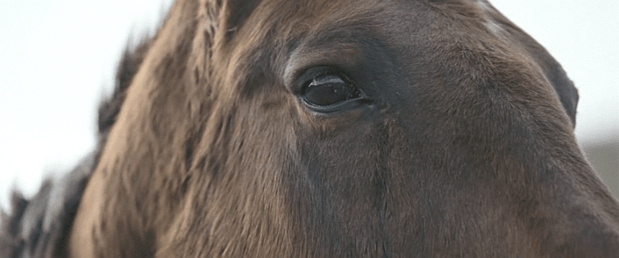 Screen Shot 2018-07-02 at 10.36.21 PM