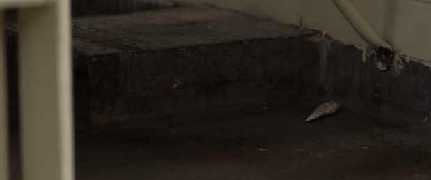 Screen Shot 2018-07-11 at 12.22.02 AM