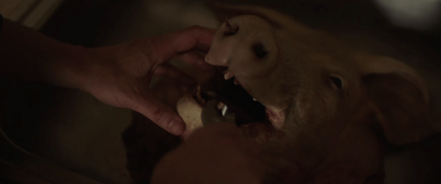 Screen Shot 2018-07-16 at 12.01.18 AM