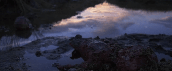 Screen Shot 2018-07-17 at 2.50.02 AM