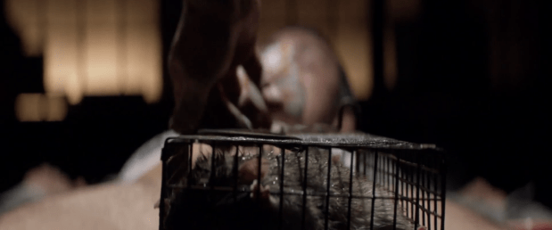 Screen Shot 2018-08-01 at 1.56.28 AM