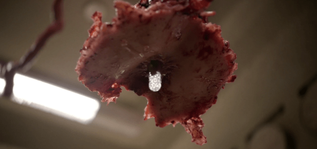 Screen Shot 2018-08-20 at 1.37.27 AM