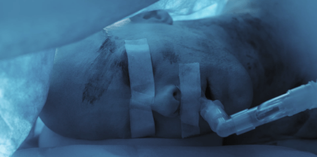 Screen Shot 2018-08-23 at 8.33.47 AM