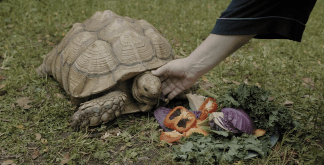 Screen Shot 2018-08-23 at 8.44.18 AM