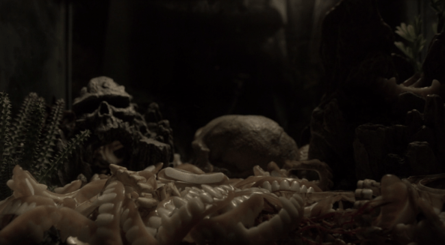 Screen Shot 2018-08-27 at 8.19.09 PM