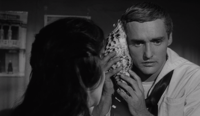 Night Tide - Seashell Listening