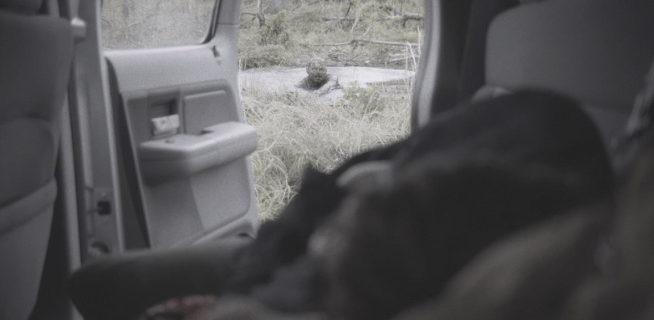 Screen Shot 2018-09-03 at 1.48.46 AM