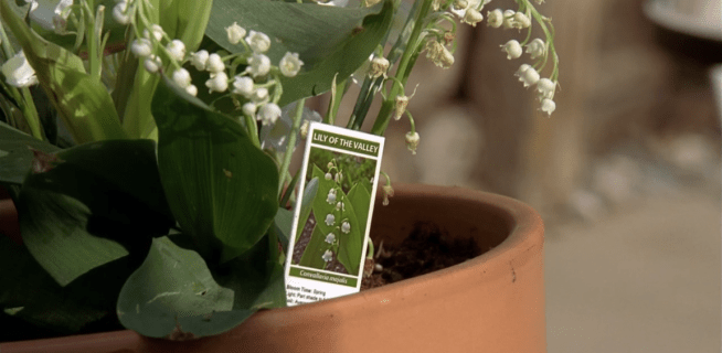 Screen Shot 2018-09-04 at 12.40.45 AM