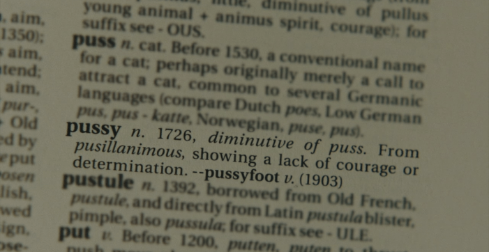 Screen Shot 2018-09-10 at 12.05.41 AM