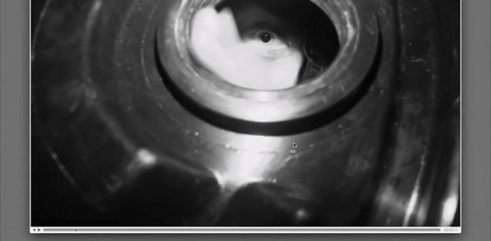 Screen Shot 2018-09-13 at 7.20.08 PM