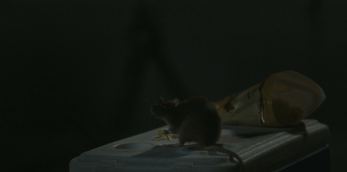 Screen Shot 2018-10-24 at 11.17.10 AM