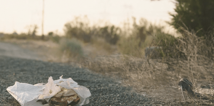 Screen Shot 2018-10-31 at 1.41.08 AM