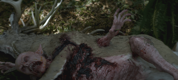 Screen Shot 2018-11-04 at 12.56.13 AM