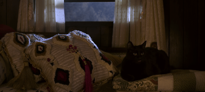 Screen Shot 2018-11-05 at 1.12.43 AM