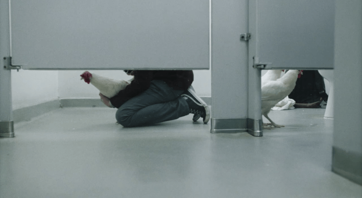 Screen Shot 2018-11-08 at 7.45.52 PM