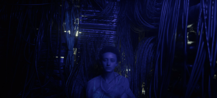 Screen Shot 2018-12-12 at 2.07.29 AM