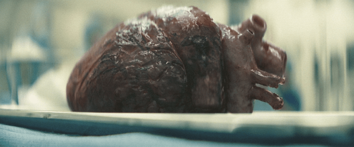 screen shot 2019-01-21 at 5.27.51 pm