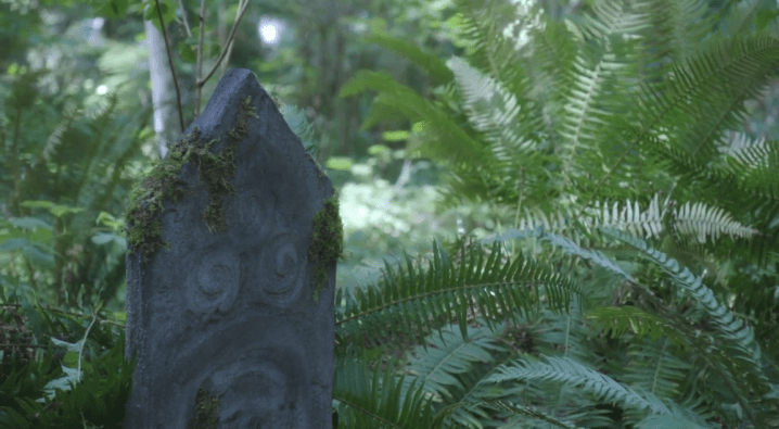 screen shot 2019-01-24 at 10.27.18 pm