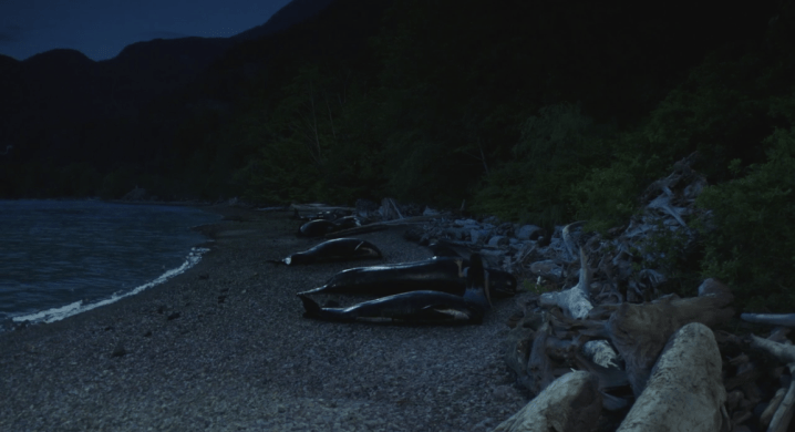 screen shot 2019-01-24 at 10.44.17 pm