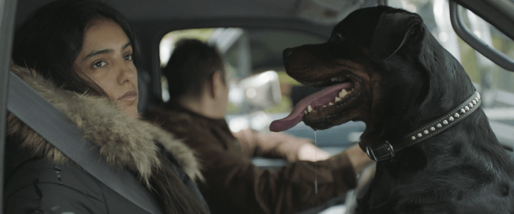 screen shot 2019-01-28 at 11.24.50 pm