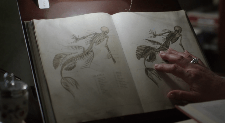 Siren 2x04 "Oil &amp; Water" - Rena Owen