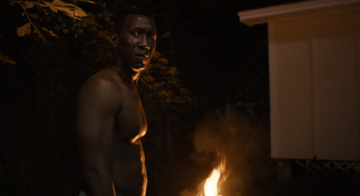True Detective 3x07 "The Final Country"