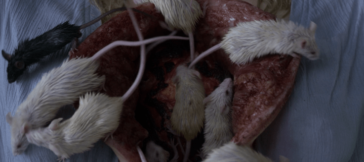 Father Son Holy Gore - Chambers - Chest of Mice