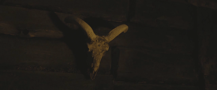 Father Son Holy Gore - Hagazussa - Goat Skull