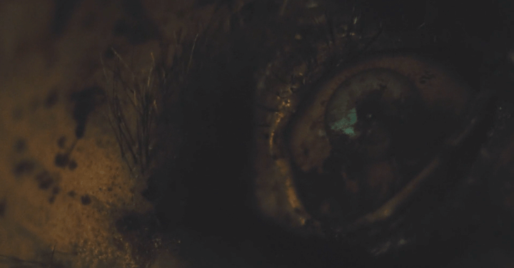 Father Son Holy Gore - Body at Brighton Rock - Dead Eye