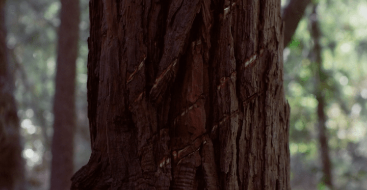 Father Son Holy Gore - Body at Brighton Rock - Warning Signs