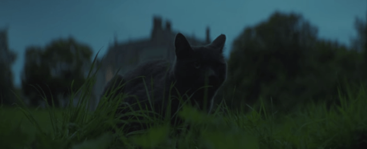 Father Son Holy Gore - We Have Always Lived in the Castle - Black Cat