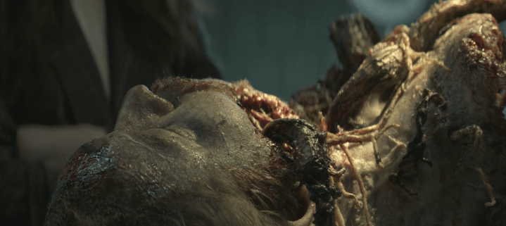 Father Son Holy Gore - Swamp Thing - Eddie Coyle's Infected Corpse