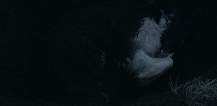 Father Son Holy Gore - Trapped - Dead Dog Grave