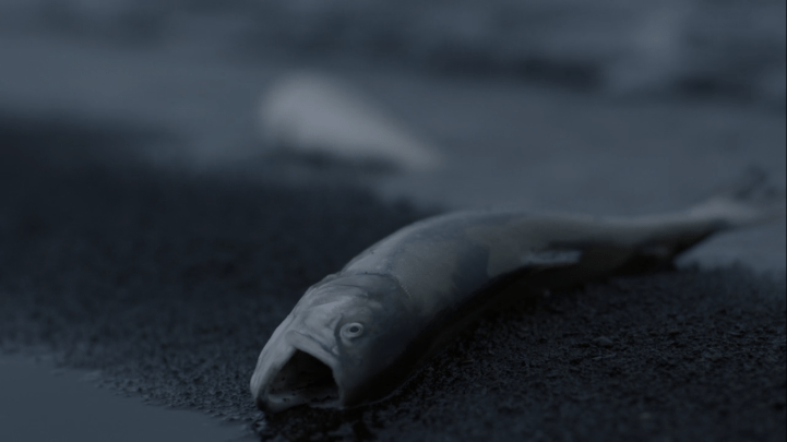 Father Son Holy Gore - Trapped - Dead Polluted Fish