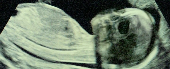 Father Son Holy Gore - Into the Dark - Culture Shock - Skulltrasound