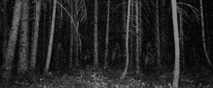 Father Son Holy Gore - Sator - Apophenia