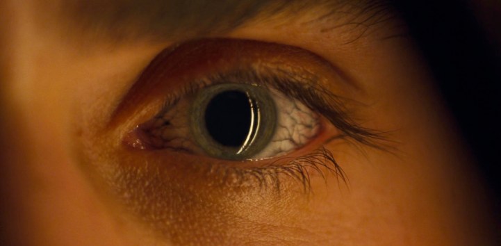 Father Son Holy Gore - Stranger Things - Billy's Upside Down Double