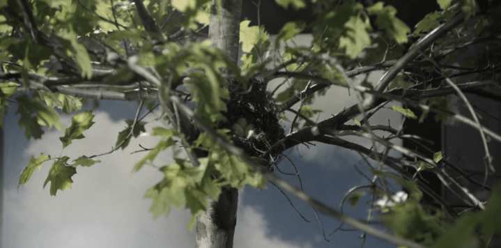 Father Son Holy Gore - Fear the Walking Dead - Bird Nest in the Mall