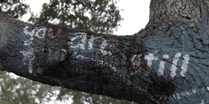 Father Son Holy Gore - Fear the Walking Dead - You Are Still Bloody