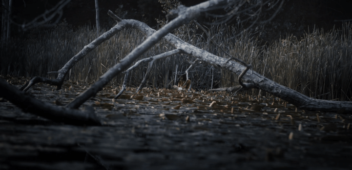 Father Son Holy Gore - Castle Rock - Annie and Evangeline