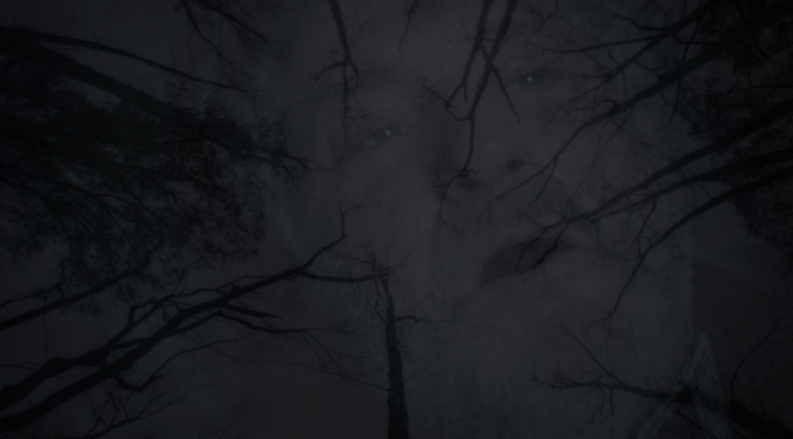 Father Son Holy Gore - The Sinner - Harry in the Trees