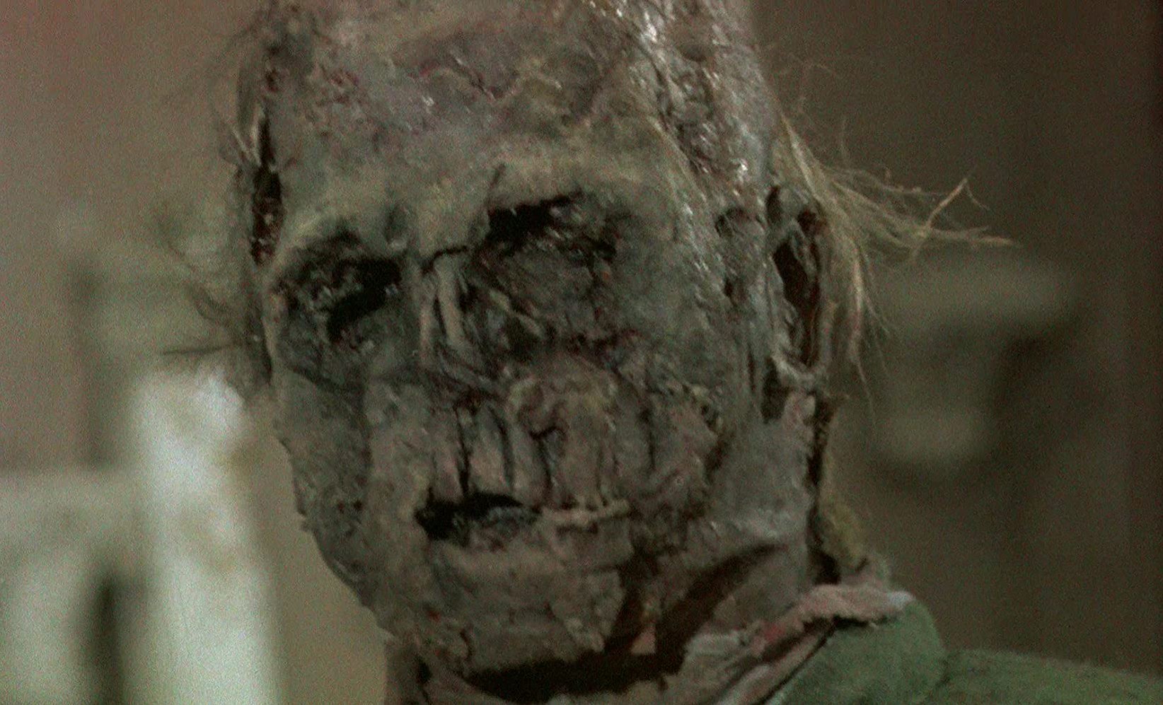 Father Son Holy Gore - Burial Ground The Nights of Terror - Zombie