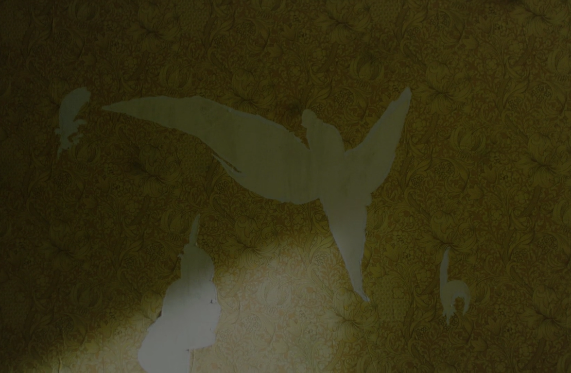 Father Son Holy Gore - The Yellow Wallpaper - Freedom Dove