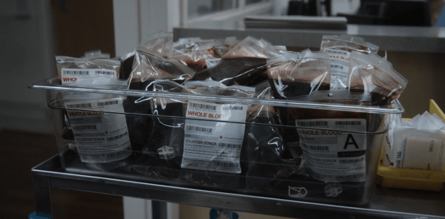 Father Son Holy Gore - American Horror Story - Blood Bags