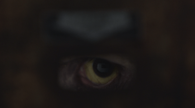 Father Son Holy Gore - The Walking Dead - Medicine Cabinet Eye