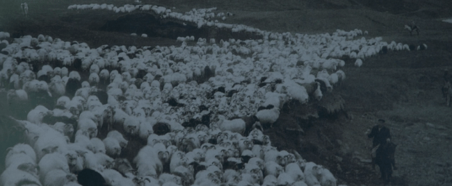 Father Son Holy Gore - Lamb - Sheepherding Painting