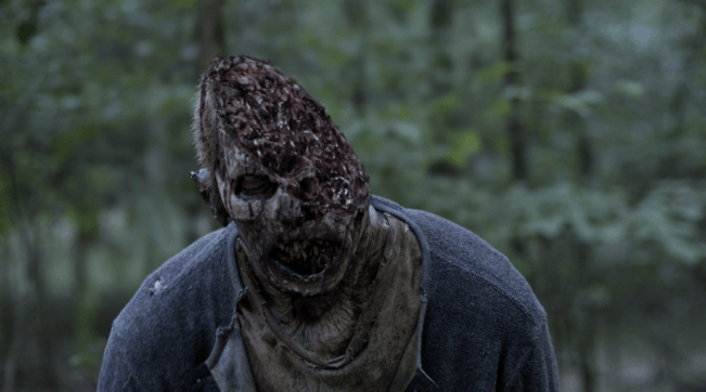 Father Son Holy Gore - The Walking Dead - Sliced Zombie Head