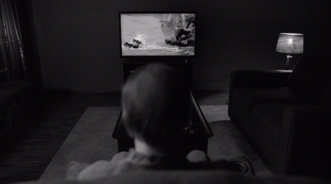 Father Son Holy Gore - Better Call Saul - Gene Watches Animals on TV