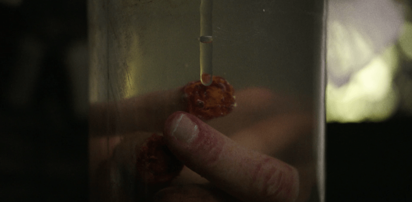 Father Son Holy Gore - Fear the Walking Dead Season 5 - Jar of Fingers